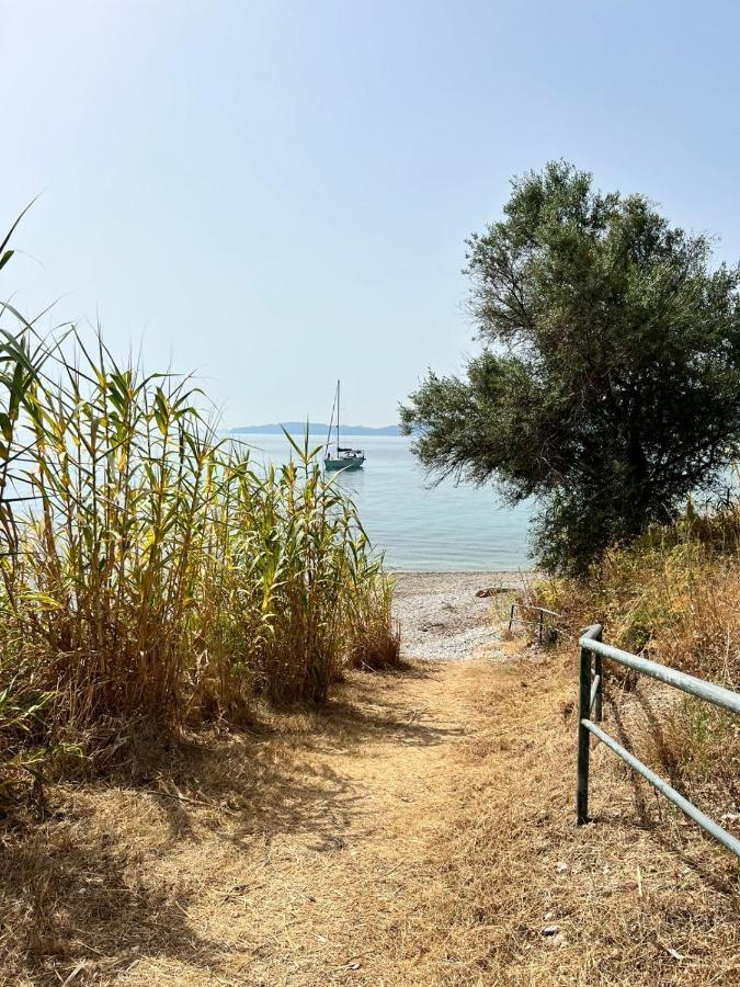 Lithino Apartments - 5Min From The Beach Agios Ioannis Peristeron  Luaran gambar