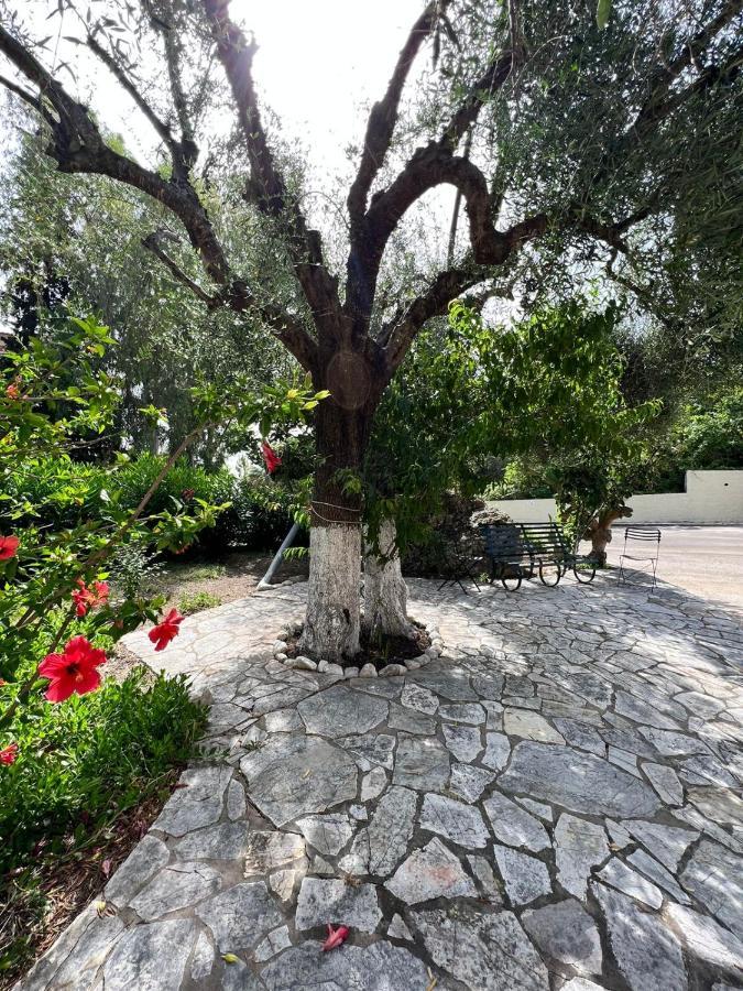 Lithino Apartments - 5Min From The Beach Agios Ioannis Peristeron  Luaran gambar