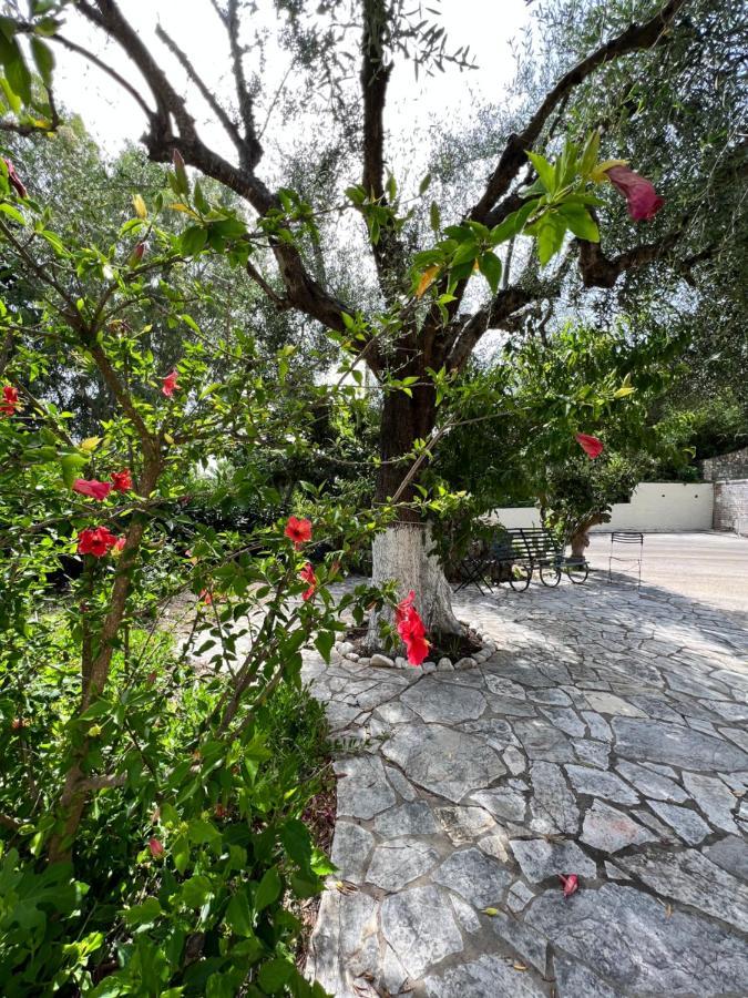 Lithino Apartments - 5Min From The Beach Agios Ioannis Peristeron  Luaran gambar